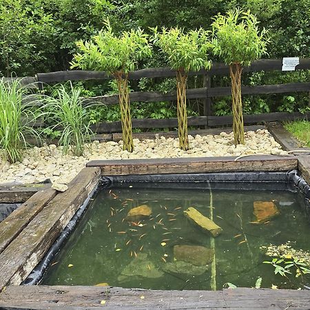 Vip Village Las Woda Rower - Podgrzewany Basen, Balia, Sauna Miedzierza Екстериор снимка